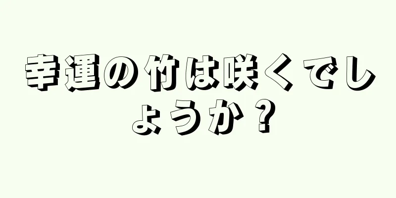 幸運の竹は咲くでしょうか？