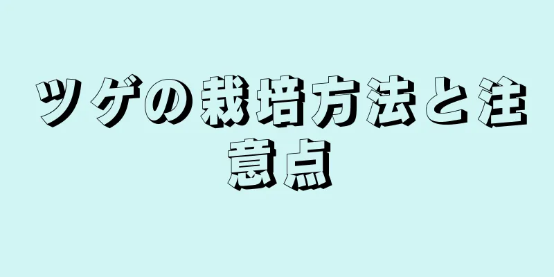 ツゲの栽培方法と注意点