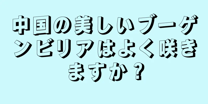 中国の美しいブーゲンビリアはよく咲きますか？