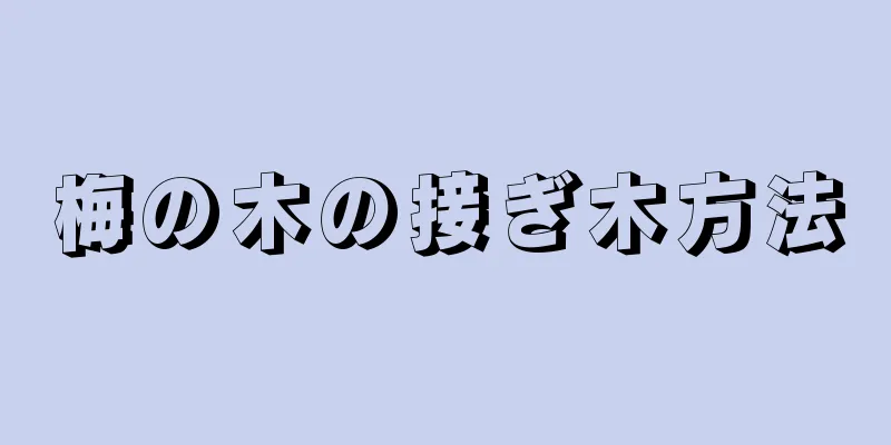 梅の木の接ぎ木方法