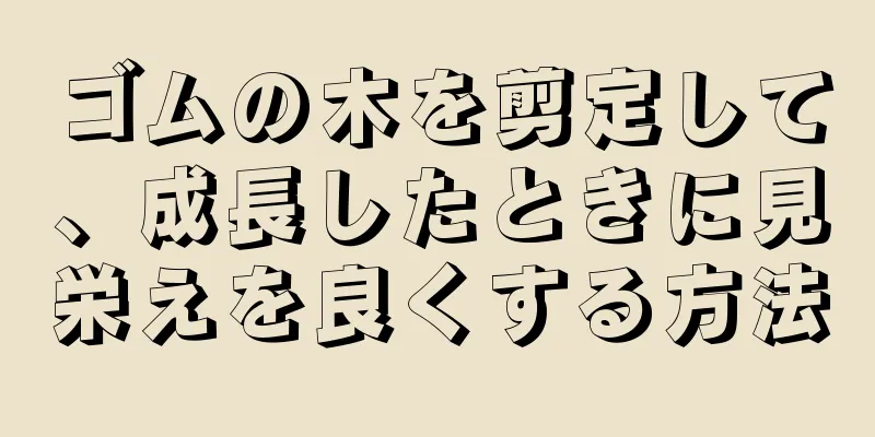 ゴムの木を剪定して、成長したときに見栄えを良くする方法