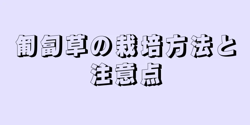 匍匐草の栽培方法と注意点