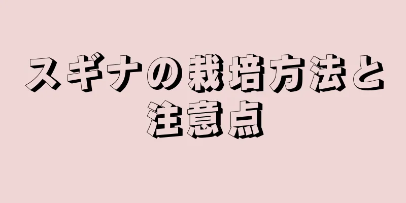 スギナの栽培方法と注意点