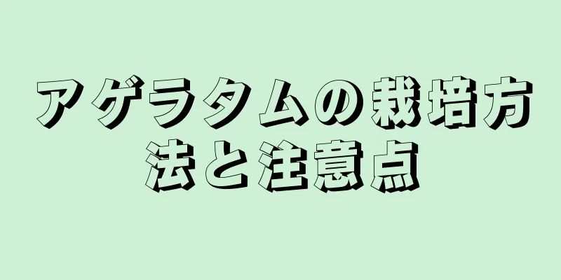 アゲラタムの栽培方法と注意点