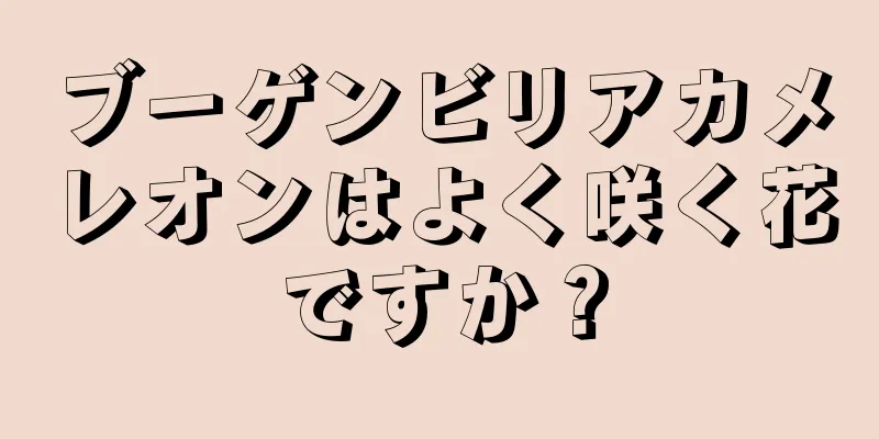 ブーゲンビリアカメレオンはよく咲く花ですか？