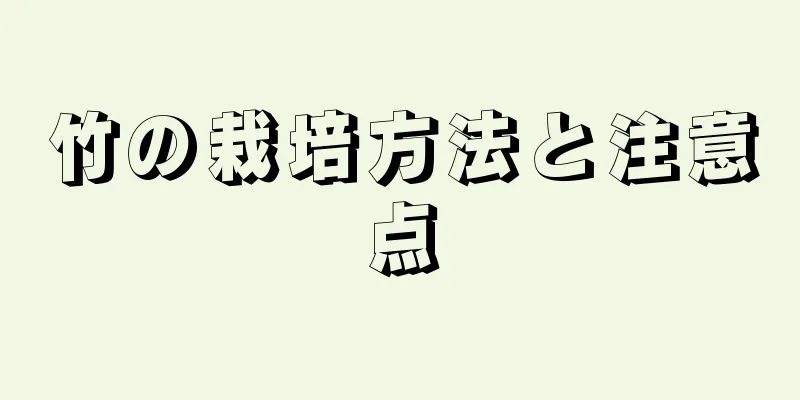 竹の栽培方法と注意点