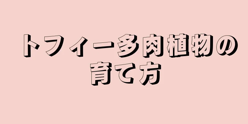 トフィー多肉植物の育て方