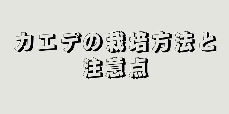 カエデの栽培方法と注意点