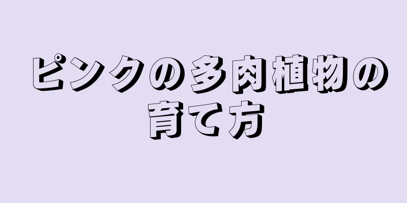 ピンクの多肉植物の育て方