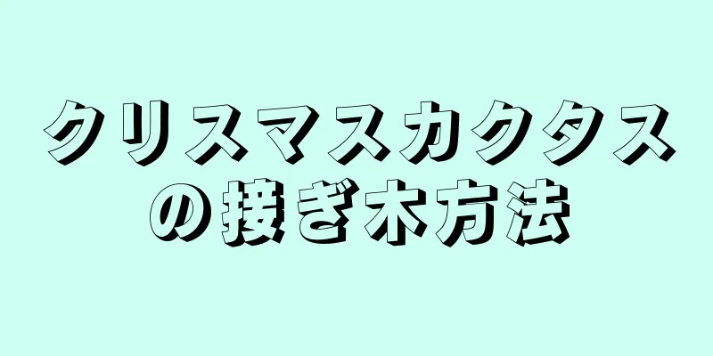 クリスマスカクタスの接ぎ木方法