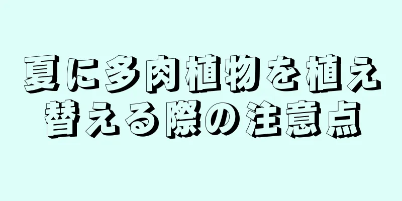 夏に多肉植物を植え替える際の注意点