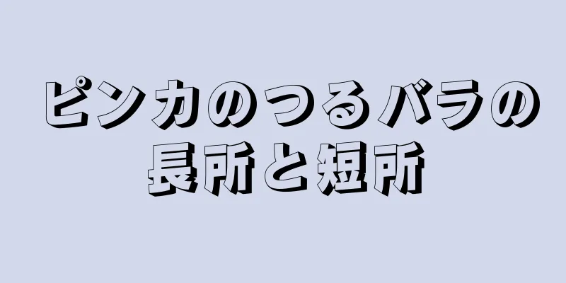 ピンカのつるバラの長所と短所