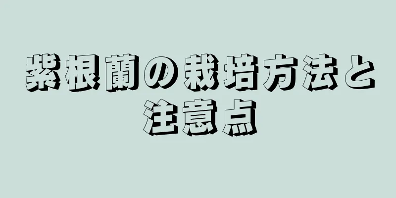 紫根蘭の栽培方法と注意点