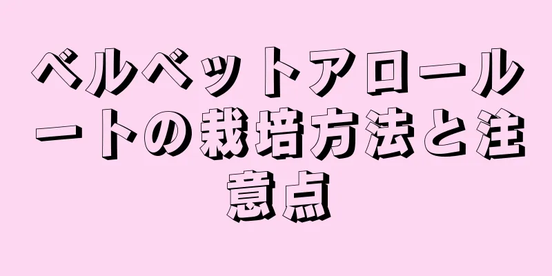 ベルベットアロールートの栽培方法と注意点