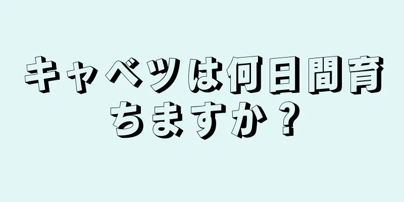 キャベツは何日間育ちますか？