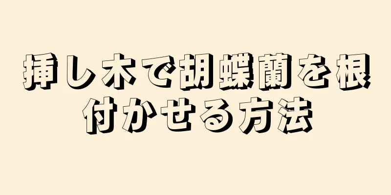 挿し木で胡蝶蘭を根付かせる方法