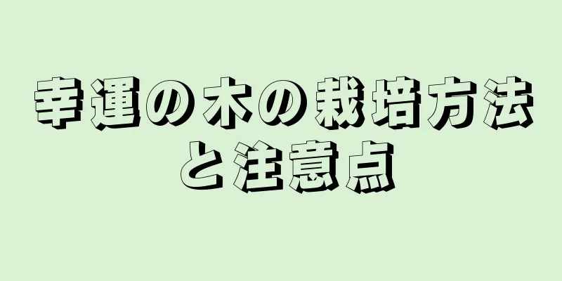 幸運の木の栽培方法と注意点