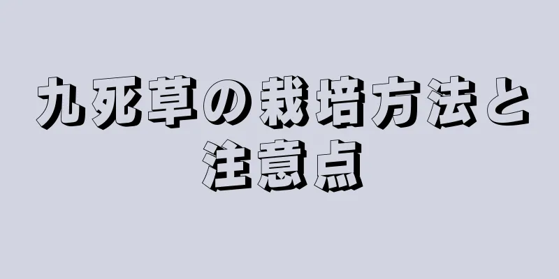 九死草の栽培方法と注意点