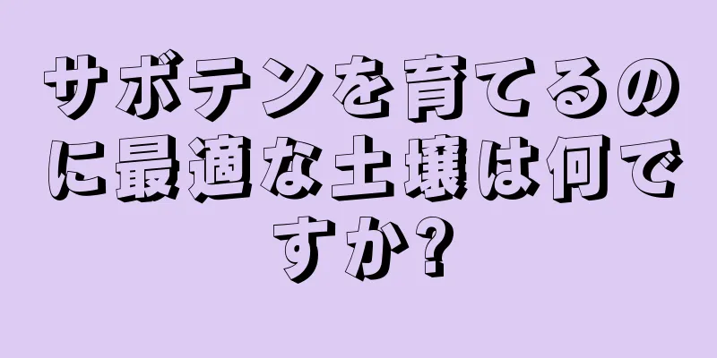 サボテンを育てるのに最適な土壌は何ですか?