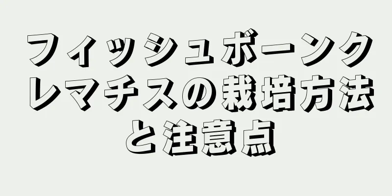フィッシュボーンクレマチスの栽培方法と注意点