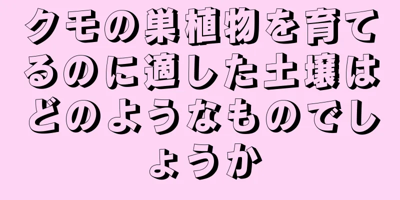 クモの巣植物を育てるのに適した土壌はどのようなものでしょうか