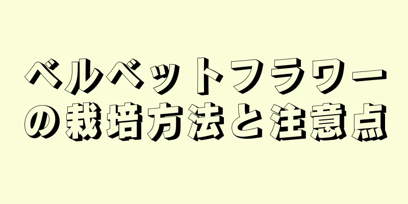 ベルベットフラワーの栽培方法と注意点