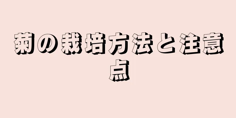 菊の栽培方法と注意点