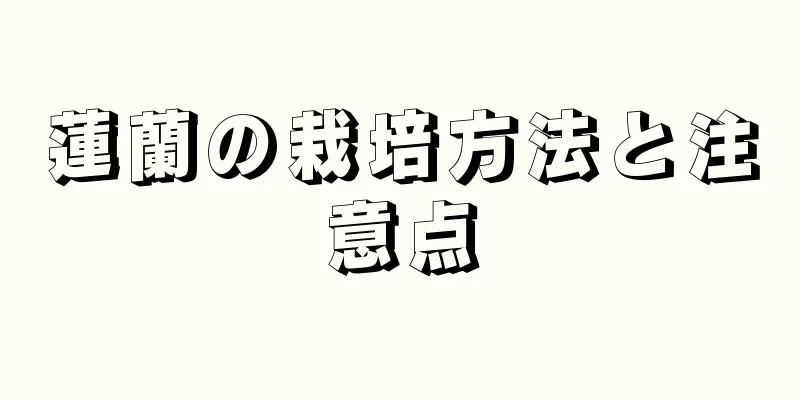 蓮蘭の栽培方法と注意点