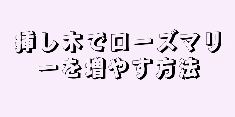 挿し木でローズマリーを増やす方法