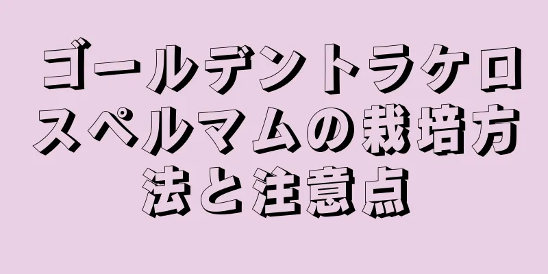 ゴールデントラケロスペルマムの栽培方法と注意点