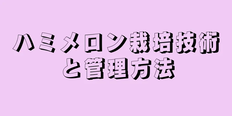 ハミメロン栽培技術と管理方法