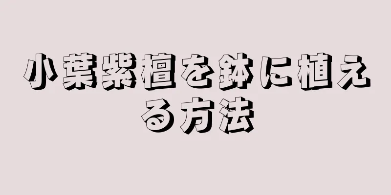 小葉紫檀を鉢に植える方法