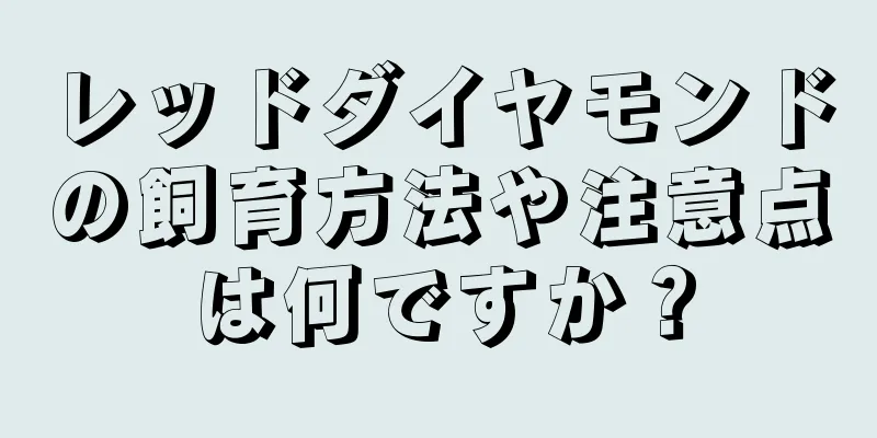 レッドダイヤモンドの飼育方法や注意点は何ですか？