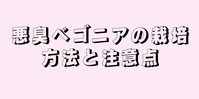 悪臭ベゴニアの栽培方法と注意点