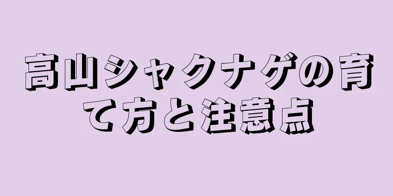 高山シャクナゲの育て方と注意点