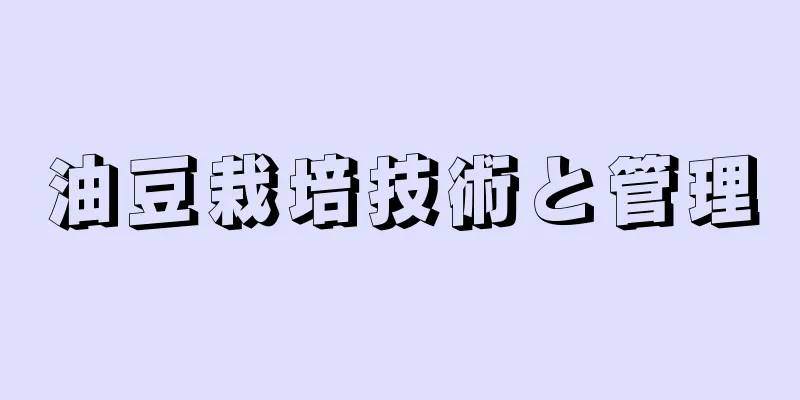 油豆栽培技術と管理