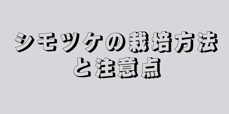 シモツケの栽培方法と注意点