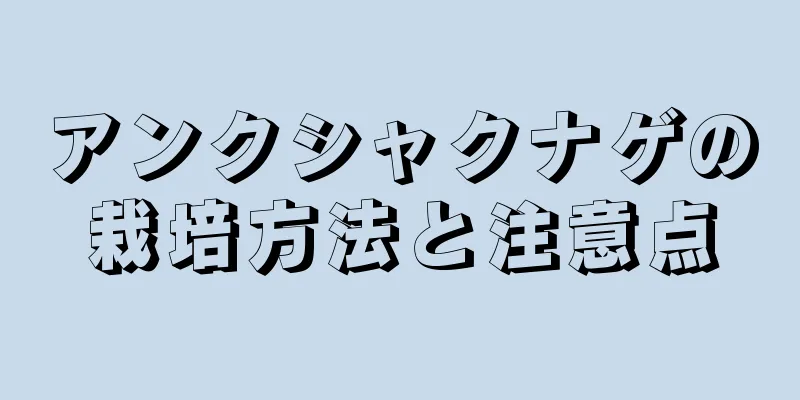 アンクシャクナゲの栽培方法と注意点