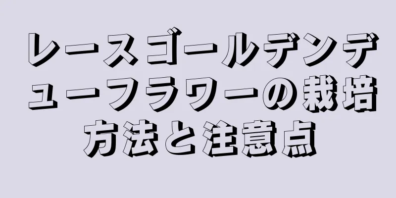 レースゴールデンデューフラワーの栽培方法と注意点