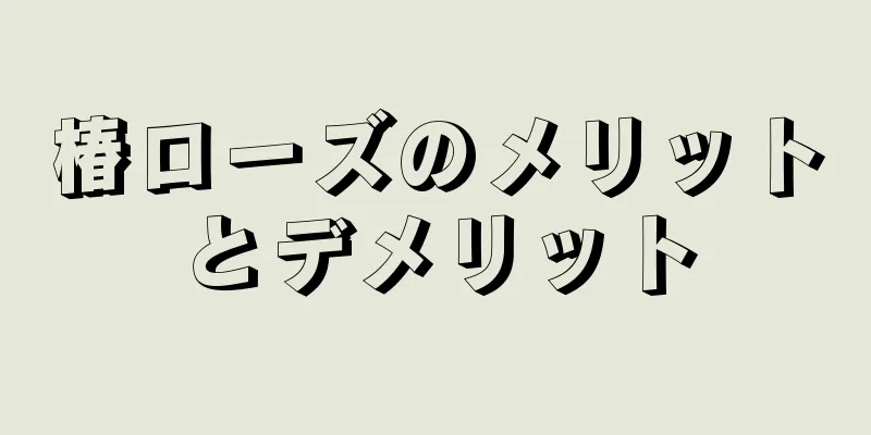 椿ローズのメリットとデメリット