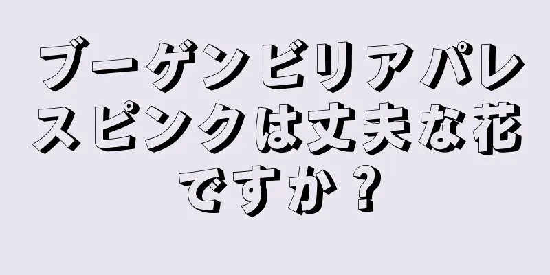 ブーゲンビリアパレスピンクは丈夫な花ですか？