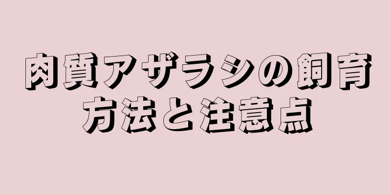 肉質アザラシの飼育方法と注意点