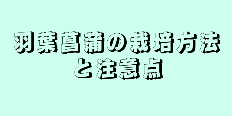 羽葉菖蒲の栽培方法と注意点