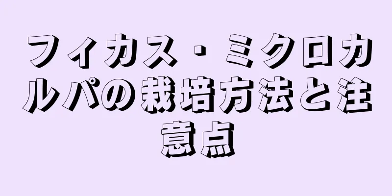 フィカス・ミクロカルパの栽培方法と注意点
