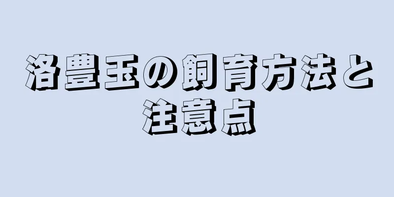 洛豊玉の飼育方法と注意点