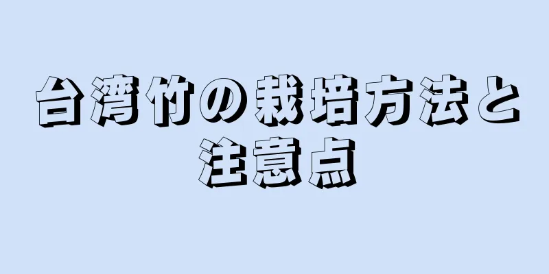 台湾竹の栽培方法と注意点