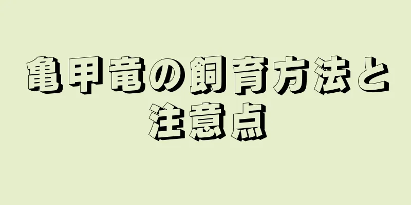 亀甲竜の飼育方法と注意点