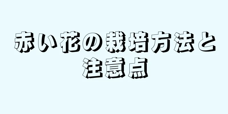 赤い花の栽培方法と注意点