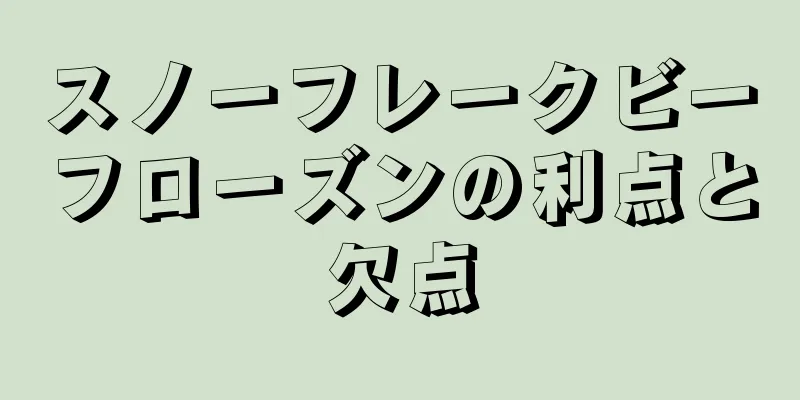 スノーフレークビーフローズンの利点と欠点