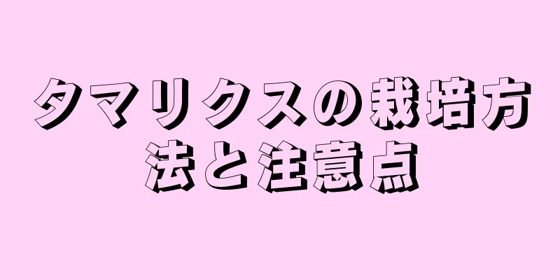 タマリクスの栽培方法と注意点